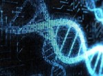 Преимплантационное генетическое тестирование
